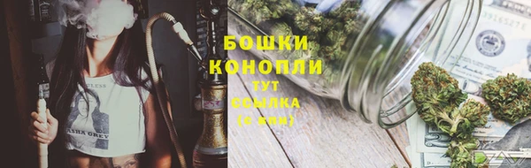 СК Богородск